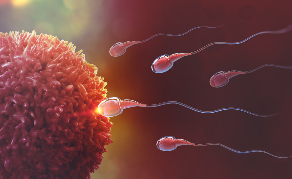 male fertility tips improve sperm