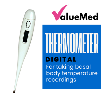 Cheap digital thermometer for testing