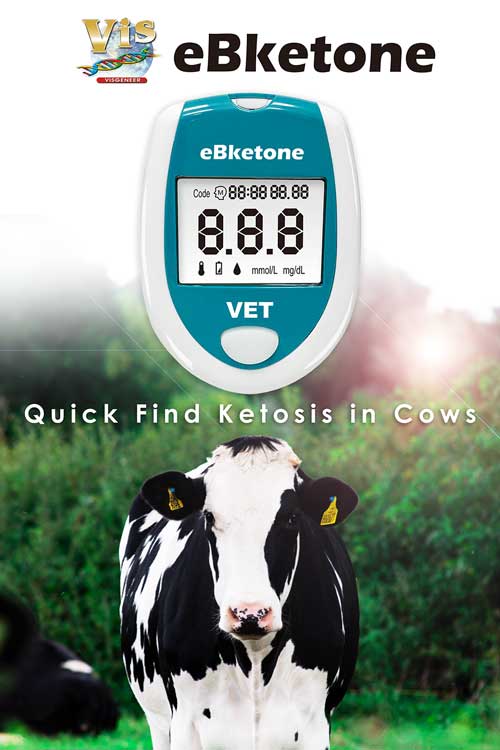 cow ketone test meter