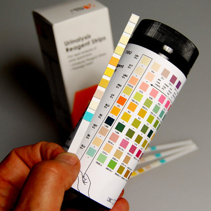 how to read a urine testing strip ALLTEST Urine tests